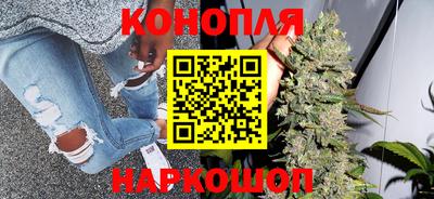 сатива Славянск-на-Кубани