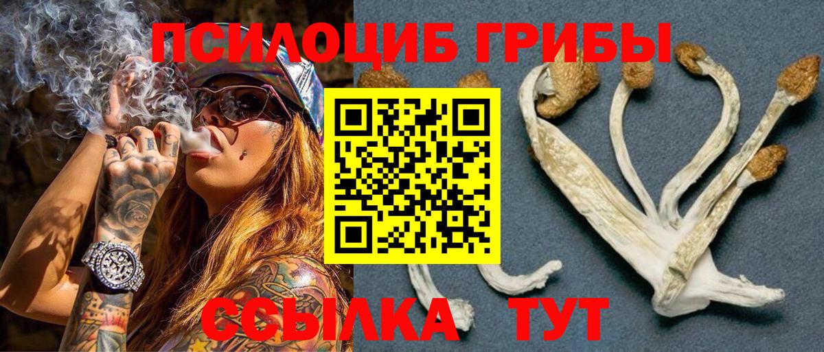 Галлюциногенные грибы Magic Shrooms Партизанск